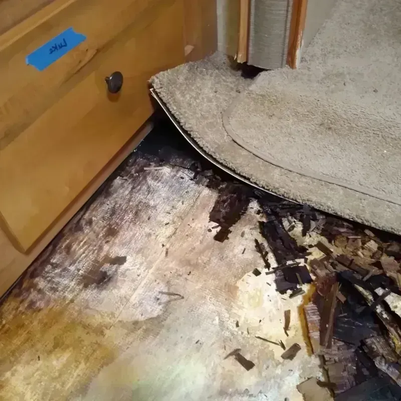 Best Wood Floor Water Damage Service in South Bloomfield, OH